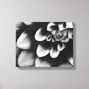 Zwarte en Witte Dahlia Bloem Canvas Afdruk