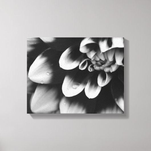Zwarte en Witte Dahlia Bloem Canvas Afdruk (Voorkant)