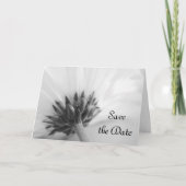 Zwarte en Witte Daisy Wedding Save the Date Aankondiging (Voorkant)