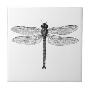 zwarte en witte dragonfly-illustratie tegeltje