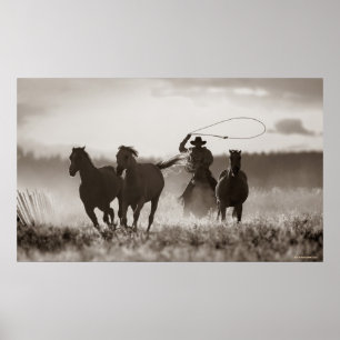 Zwarte en witte foto van een Cowboy Lassoing Horse Poster