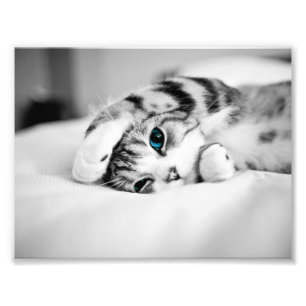 Zwarte en witte foto van een kat afdruk