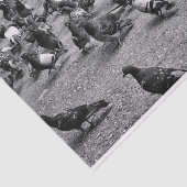 Zwarte en witte fotografie van vele duiven tissuepapier (Detail)