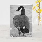Zwarte en witte gans kaart (Gele Bloem)