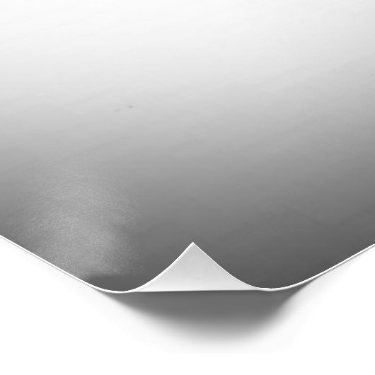 Zwarte en witte gans perfect poster (Hoek)