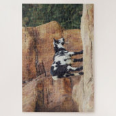 Zwarte en witte gebergte op Rocks Legpuzzel (Verticaal)