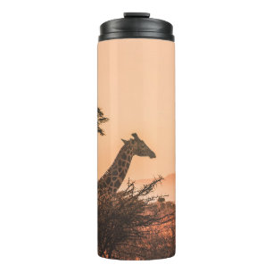 ZWARTE EN WITTE GIRAFFE OP GEBIED VAN BROWN GRAS THERMOSBEKER