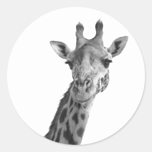 Zwarte en witte Giraffe Ronde Sticker (Voorkant)