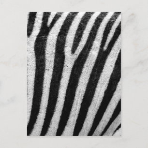 Zwarte en witte haarstrepen briefkaart