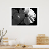 Zwarte en witte halve zon poster (Keuken)