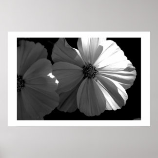 Zwarte en witte halve zon poster