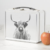 Zwarte en Witte Hoogland Koe (In situ)