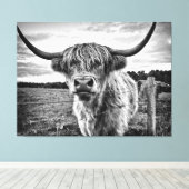 Zwarte en Witte Hoogland Koe Canvas Afdruk (Insitu (Houten vloer))