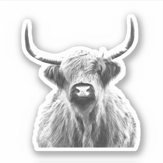 Zwarte en Witte Hoogland Koe Sticker (Voorkant)