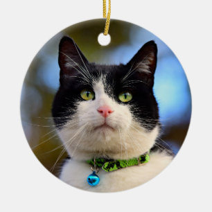 Zwarte en witte horthair kat keramisch ornament