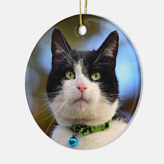 Zwarte en witte horthair kat keramisch ornament (Links)