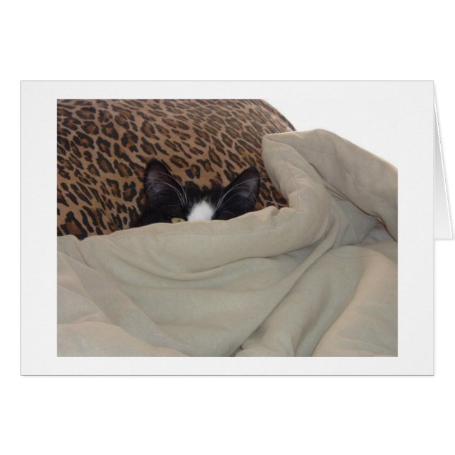 Zwarte en witte kat (Voorkant Horizontaal)