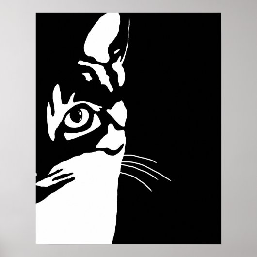 Zwarte en witte kat 657 poster (Voorkant)