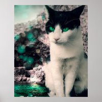 Zwarte en witte kat groene ogen zitten bij het zie