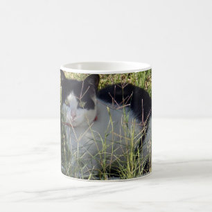 Zwarte en witte kat in de tuin, koffiemok