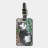 Zwarte en witte kat in groen bagagelabel (Voorkant verticaal)
