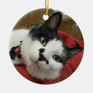 Zwarte en witte kat keramisch ornament