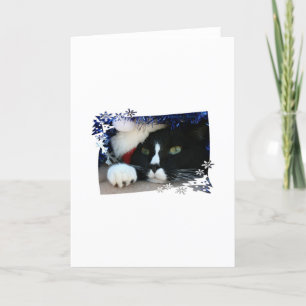 Zwarte en witte kat, kersthoed, tinsel en een poot feestdagen kaart