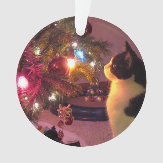 Zwarte en witte kat met kerstboomversiering ornament (voorkant)