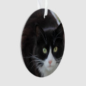 Zwarte en witte kat ornament (voorkant)