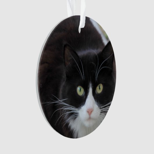 Zwarte en witte kat ornament (voorkant)