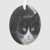 Zwarte en witte kat ornament (voorkant)