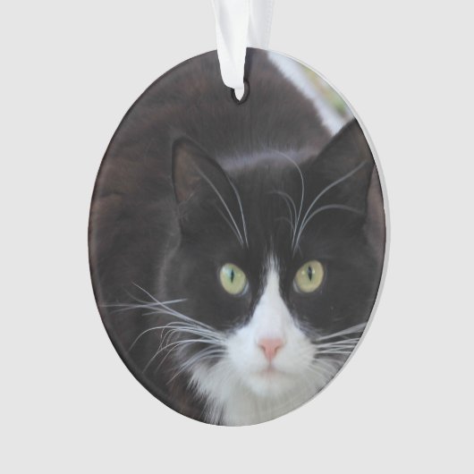 Zwarte en witte kat ornament (voorkant)