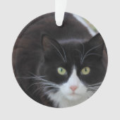 Zwarte en witte kat ornament (voorkant)