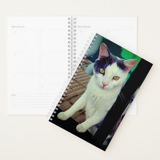 Zwarte en witte kat planner (Display)