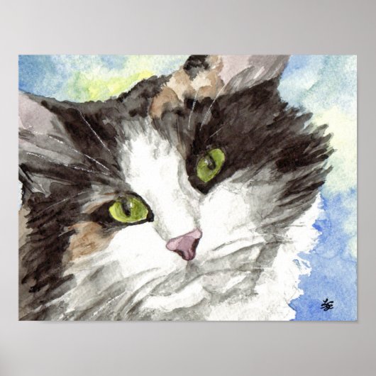 Zwarte en witte kat poster (Voorkant)