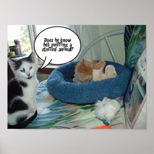 Zwarte en witte kat poster