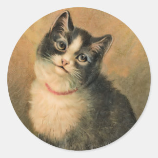 Zwarte en witte kat ronde sticker