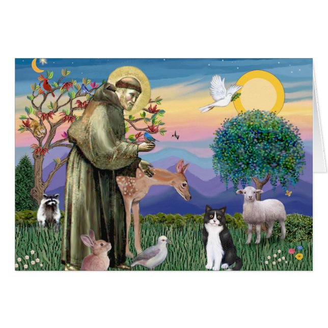 Zwarte en witte kat - Saint Francis (Voorkant Horizontaal)