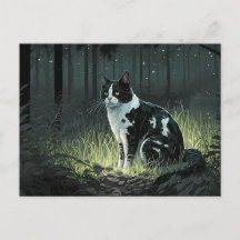 Zwarte en witte kat van Piebald in het Briefkaart