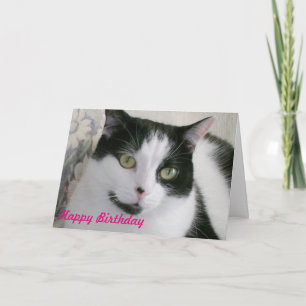 Zwarte en witte kat Verjaardag Kaart