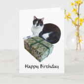 Zwarte en witte kat Verjaardag Kaart (Gele Bloem)