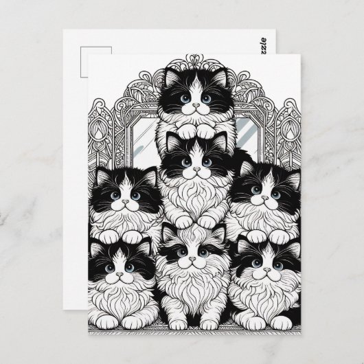 Zwarte en witte katten briefkaart (Voorkant / Achterkant)