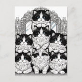 Zwarte en witte katten briefkaart (Voorkant)