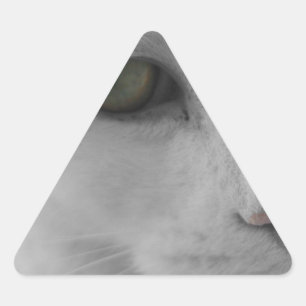 Zwarte en witte katten driehoek sticker