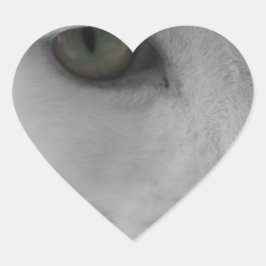 Zwarte en witte katten hart sticker