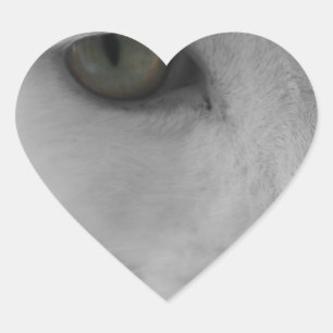 Zwarte en witte katten hart sticker