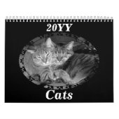 Zwarte en witte katten kalender (Hoes)