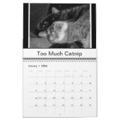 Zwarte en witte katten kalender (Jan 2026)