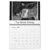 Zwarte en witte katten kalender (Jan 2027)
