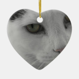 Zwarte en witte katten keramisch ornament